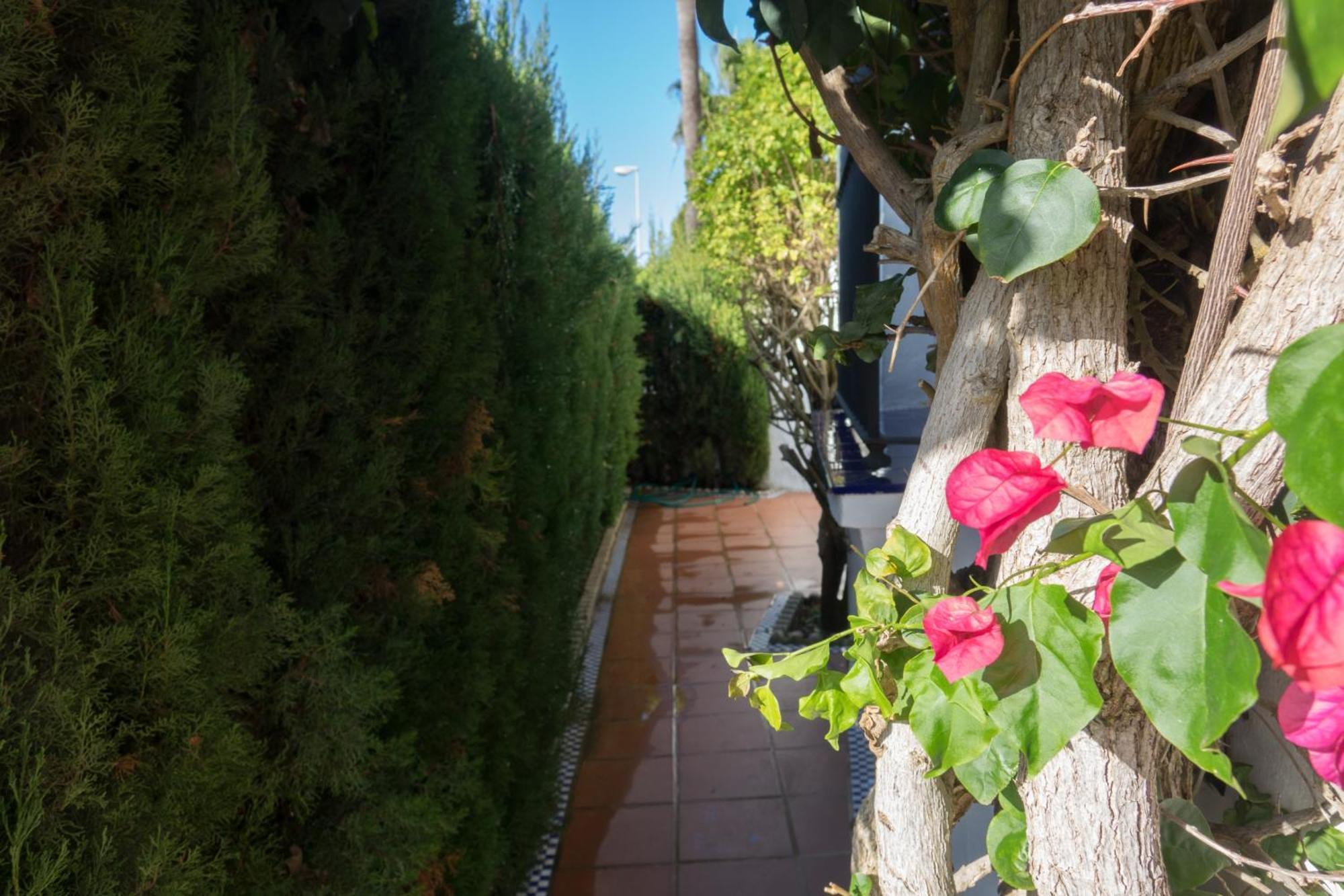 Apartamento Alextia La Barrosa Chiclana de la Frontera Exterior foto